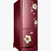 Refrigerator Repair & Service